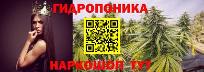 прущие крисы Ликино-Дулёво