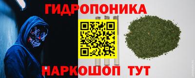 прущие крисы Ликино-Дулёво