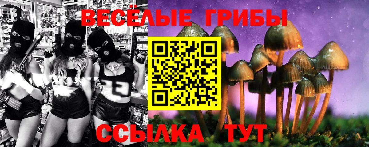 Галлюциногенные грибы Cubensis  Вход с VPN  Псилоцибиновые грибы MAGIC MUSHROOMS  Таганрог 